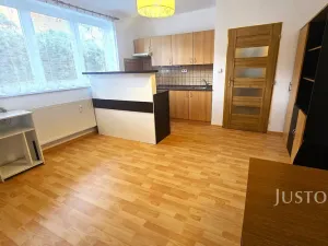 Pronájem bytu 1+kk, Písek, Přemyslova, 28 m2