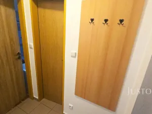 Pronájem bytu 1+kk, Písek, Přemyslova, 28 m2