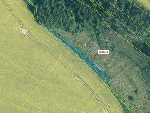 Dražba lesa, Hosty, 323 m2