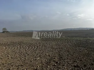 Prodej pozemku pro bydlení, Okříšky, Masarykova, 1004 m2