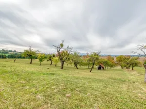 Prodej zahrady, Starý Jičín - Janovice, 10274 m2
