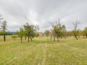 Prodej zahrady, Starý Jičín - Janovice, 10274 m2