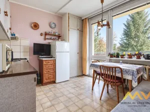 Prodej bytu 1+1, Hradec Králové - Pražské Předměstí, Jungmannova, 41 m2