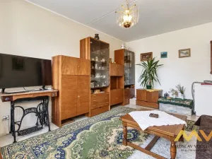 Prodej bytu 1+1, Hradec Králové - Pražské Předměstí, Jungmannova, 41 m2
