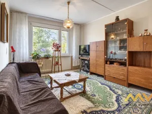 Prodej bytu 1+1, Hradec Králové - Pražské Předměstí, Jungmannova, 41 m2