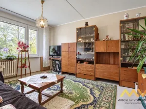 Prodej bytu 1+1, Hradec Králové - Pražské Předměstí, Jungmannova, 41 m2