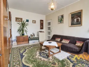 Prodej bytu 1+1, Hradec Králové - Pražské Předměstí, Jungmannova, 41 m2