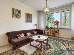 Prodej bytu 1+1, Hradec Králové - Pražské Předměstí, Jungmannova, 41 m2