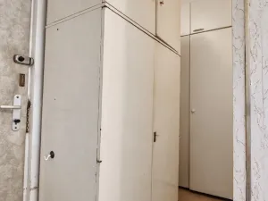 Prodej bytu 1+1, Hradec Králové - Pražské Předměstí, Jungmannova, 41 m2