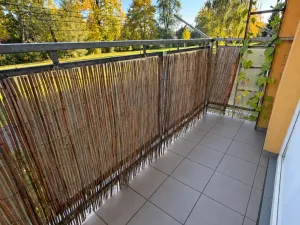 Prodej bytu 1+1, Hradec Králové - Pražské Předměstí, Jungmannova, 41 m2