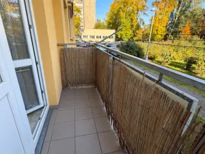 Prodej bytu 1+1, Hradec Králové - Pražské Předměstí, Jungmannova, 41 m2