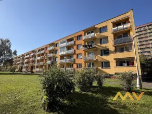 Prodej bytu 1+1, Hradec Králové - Pražské Předměstí, Jungmannova, 41 m2