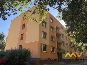 Prodej bytu 1+1, Hradec Králové - Pražské Předměstí, Jungmannova, 41 m2