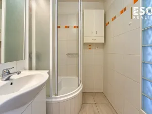 Prodej bytu 2+1, Ostrava, Lumírova, 61 m2