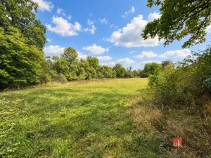 Prodej pozemku pro bydlení, Krhov, 8750 m2