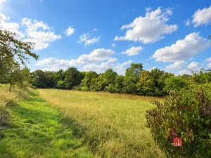 Prodej pozemku pro bydlení, Krhov, 8750 m2