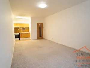 Prodej bytu 1+kk, Hradec Králové, Milady Horákové, 32 m2
