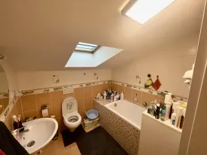 Prodej rodinného domu, Drahelčice, V Ruči, 185 m2