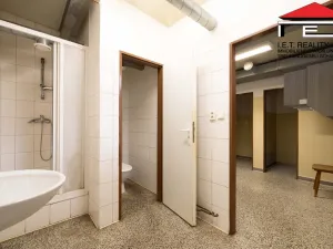 Prodej výrobních prostor, Borotice, 1821 m2