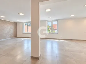 Prodej obchodního prostoru, Zlín - Malenovice, Bezručova, 568 m2
