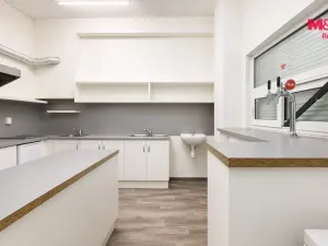 Pronájem restaurace, Louny, Náměstí Benedikta Rejta, 37 m2