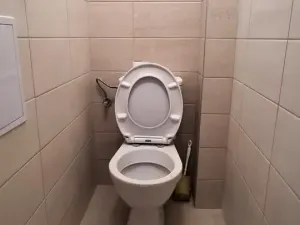 Pronájem bytu 2+1, Praha - Vršovice, Moskevská, 63 m2
