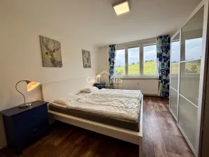 Prodej bytu 3+kk, Kovářská, Sídliště, 60 m2