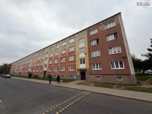 Prodej bytu 2+1, Bílina - Teplické Předměstí, M. Švabinského, 55 m2