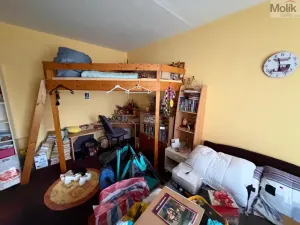 Prodej bytu 2+1, Bílina - Teplické Předměstí, M. Švabinského, 55 m2