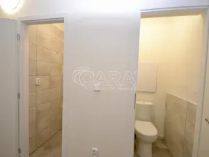 Prodej bytu 2+kk, Praha - Chodov, Podjavorinské, 43 m2