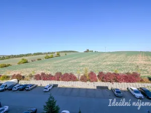 Pronájem bytu 3+1, Rosice, Kaštanová, 80 m2