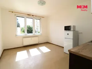 Pronájem bytu 1+kk, Chodov, Jiráskova, 19 m2