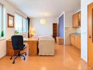 Prodej bytu 1+kk, Praha - Záběhlice, Ve slatinách, 30 m2