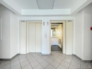 Prodej bytu 1+kk, Praha - Záběhlice, Ve slatinách, 30 m2