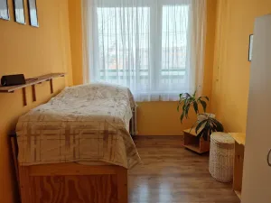 Prodej bytu 2+kk, Teplice, Alejní, 51 m2