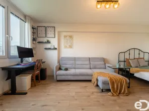 Prodej bytu 1+1, Mladá Boleslav, 17. listopadu, 40 m2