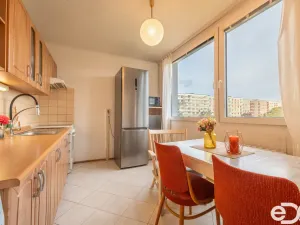 Prodej bytu 1+1, Mladá Boleslav, 17. listopadu, 40 m2