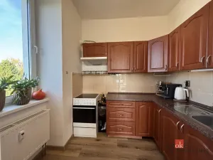 Prodej bytu 1+kk, Litultovice, 45 m2