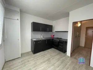 Pronájem bytu 1+1, Plzeň - Bolevec, Toužimská, 39 m2