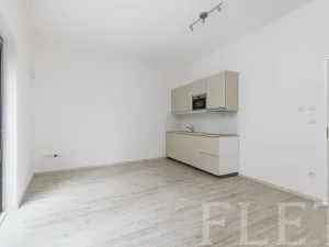 Pronájem bytu 1+kk, Praha - Smíchov, Pod Barvířkou, 32 m2