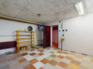 Prodej rodinného domu, Troskotovice, 200 m2