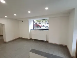 Pronájem obchodního prostoru, Plzeň, Stehlíkova, 67 m2