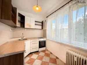 Prodej bytu 2+1, Duchcov, Sadová, 50 m2