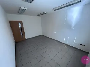 Pronájem výrobních prostor, Hlušovice, Okružní, 318 m2