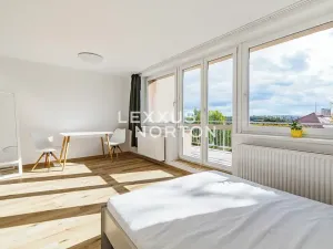 Pronájem bytu 1+kk, Praha - Smíchov, Nad Palatou, 35 m2