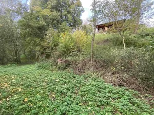 Dražba louky, Svijany, 1003 m2