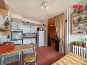 Prodej bytu 1+1, Beroun - Beroun-Město, Branislavova, 36 m2