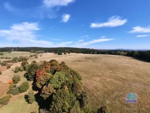 Prodej louky, Lesná - Stará Knížecí Huť, 410390 m2