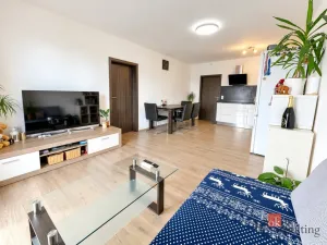 Prodej bytu 2+kk, Zbůch, U Trati, 48 m2