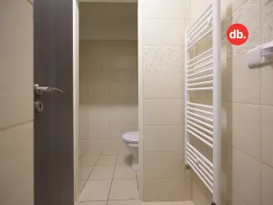 Pronájem obchodního prostoru, Karlovy Vary, Nejdecká, 70 m2
